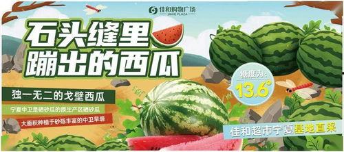 热门大瓜每日大赛 17吃瓜fun,17吃瓜fun精彩回顾