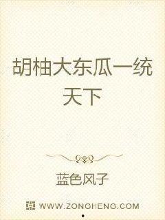 网红大瓜小说免费阅读